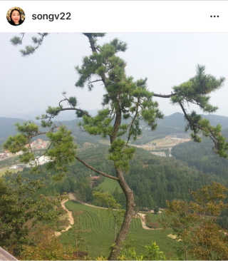 Songv22님이 올린 리뷰 사진 4