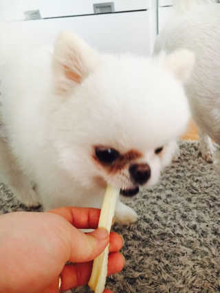 은수수님이 올린 리뷰 사진 4