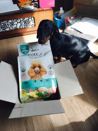백수진님이 올린 리뷰 사진 2