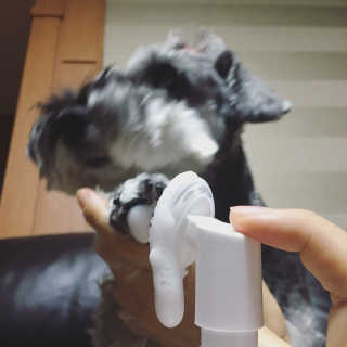 스리슬쩍님이 올린 리뷰 사진 1