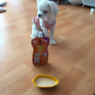 민콩님이 올린 리뷰 사진 1
