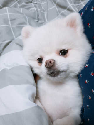 황선아님이 올린 리뷰 사진 2