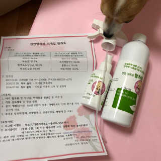 최지영님이 올린 리뷰 사진 1