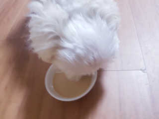 Ranny님이 올린 리뷰 사진 3