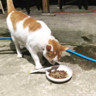 한나단미님이 올린 리뷰 사진 3