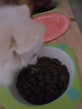 KyoungmiSong님이 올린 리뷰 사진 3
