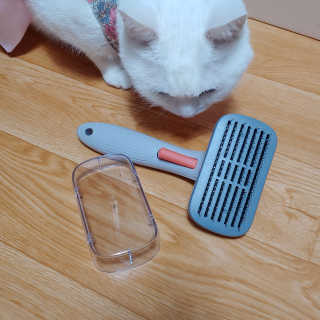 라온시연님이 올린 리뷰 사진 3