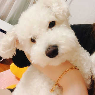 이이이잉ㅇ님이 올린 리뷰 사진 3