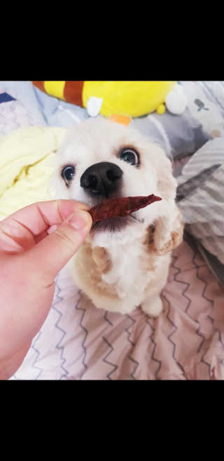 조소민님이 올린 리뷰 사진 4