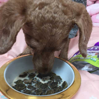 루코네님이 올린 리뷰 사진 2