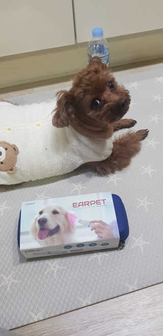 희야님이 올린 리뷰 사진 4