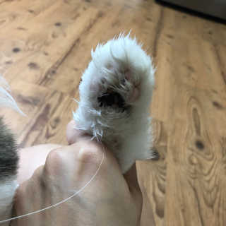 눌222님이 올린 리뷰 사진 4