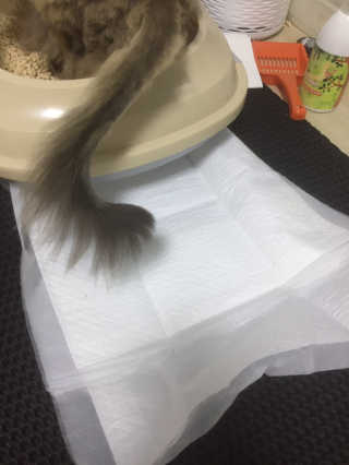 너구밍님이 올린 리뷰 사진 3