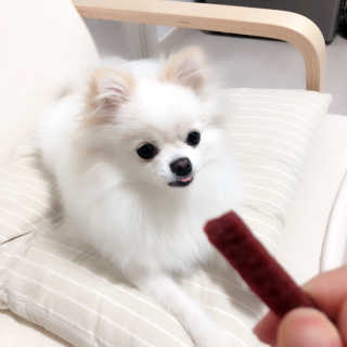 푸디웜 주식회사 [푸디웜] 강아지 저알러지 수제간식 3종세트 — 3.83점을 준 리뷰어가 2018년 11월 올린 사용 사진