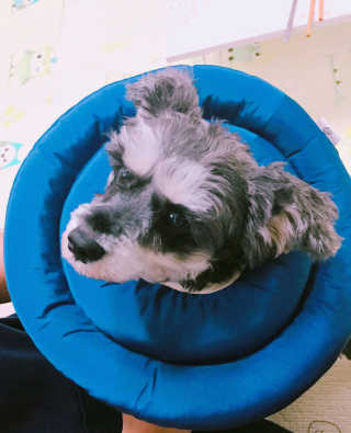 DH님이 올린 리뷰 사진 1