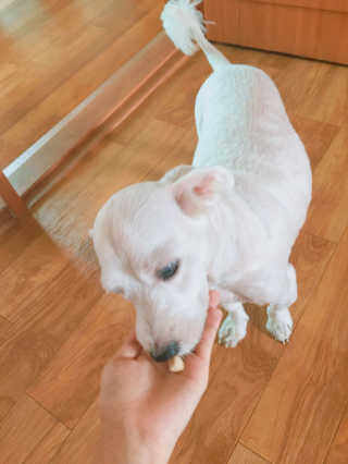 백혜지님이 올린 리뷰 사진 4