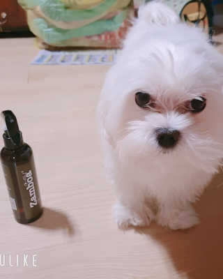 혜린님이 올린 리뷰 사진 2