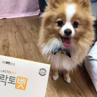 유산균하우스 [프로바이오닉]락토벳 — 5점을 준 리뷰어가 2019년 2월 올린 사용 사진