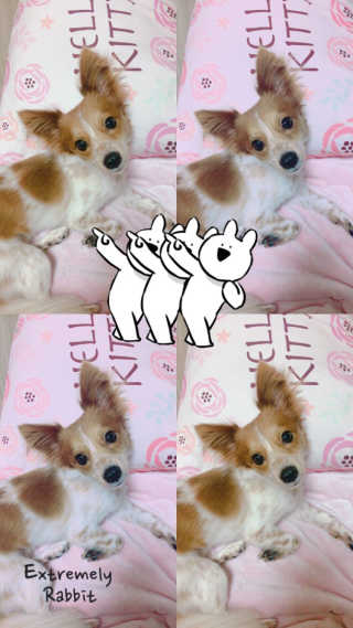 ChohuiKim님이 올린 리뷰 사진 2