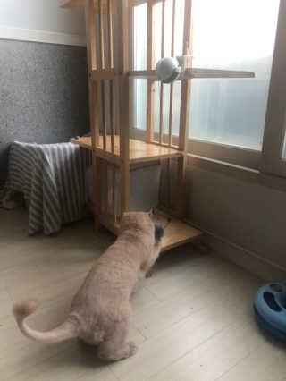SolheeNamgoong님이 올린 리뷰 사진 3