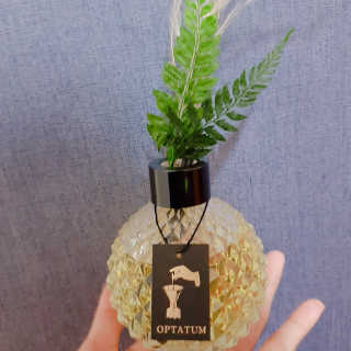 당신의 향을 찾아 드리는 옵타움디퓨저 200ml — 5점을 준 리뷰어가 2018년 4월 올린 사용 사진