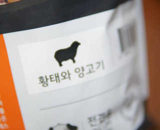펫토리아 한끼뚝딱 클래식 강아지 건식사료 — 5점을 준 리뷰어가 2019년 4월 올린 사용 사진