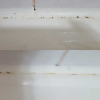 요미님이 올린 리뷰 사진 3
