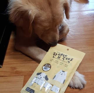 [펫토리아]짜먹는 한입뚝딱 강아지.고양이 마약간식 — 5점을 준 리뷰어가 2019년 8월 올린 사용 사진