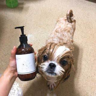 베베츄님이 올린 리뷰 사진 4