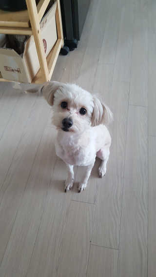 Raphaelchoe님이 올린 리뷰 사진 1