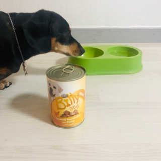 [펫토리아]배피 고양이,빌리강아지 대용량주식캔 — 4점을 준 리뷰어가 2019년 7월 올린 사용 사진