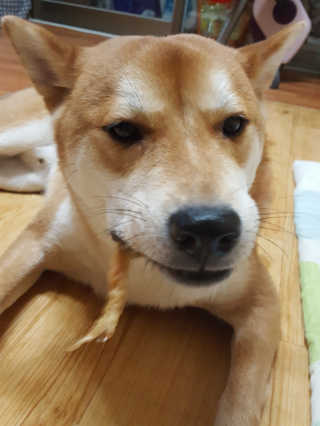 컴백08리터님이 올린 리뷰 사진 2