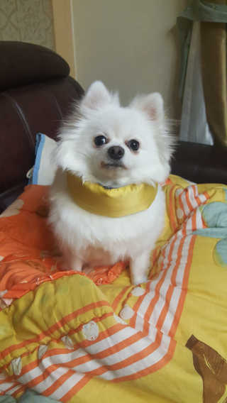 하늬몽님이 올린 리뷰 사진 4