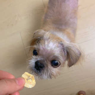 향이님이 올린 리뷰 사진 4
