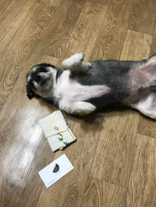 백민호님이 올린 리뷰 사진 1