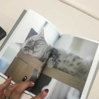 KyungmiShin님이 올린 리뷰 사진 2