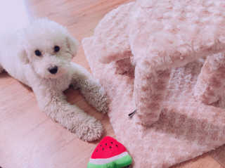 메이블님이 올린 리뷰 사진 2