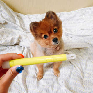은선이짱님이 올린 리뷰 사진 2
