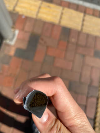 샐랄ㄹ라라라님이 올린 리뷰 사진 2