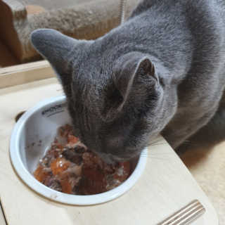 율집사님이 올린 리뷰 사진 2