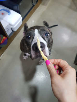 sunny님이 올린 리뷰 사진 3
