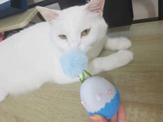 IS2UL님이 올린 리뷰 사진 1