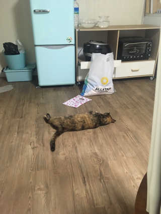 피안화님이 올린 리뷰 사진 3