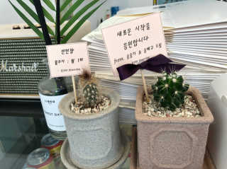 메이젠 인천논현점 [메이젠_논현]샌드위치 4개,소금커피,밀크티,마카롱 — 2.5점을 준 리뷰어가 2019년 3월 올린 사용 사진