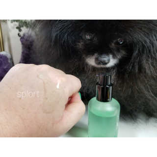 Peepingpomeranian님이 올린 리뷰 사진 3