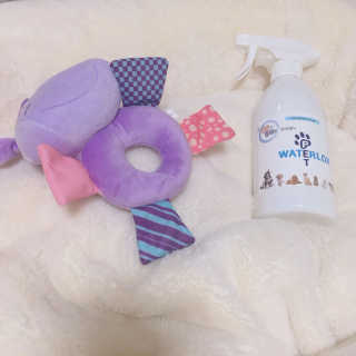 예리님이 올린 리뷰 사진 1