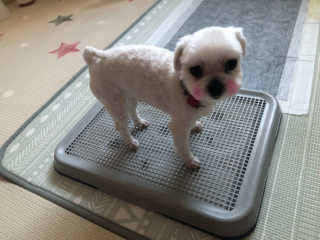 황방울이님이 올린 리뷰 사진 2