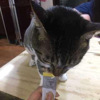 다니당근님이 올린 리뷰 사진 2