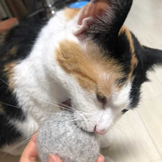 봄날님이 올린 리뷰 사진 4