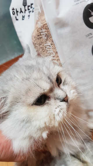 이영실님이 올린 리뷰 사진 2